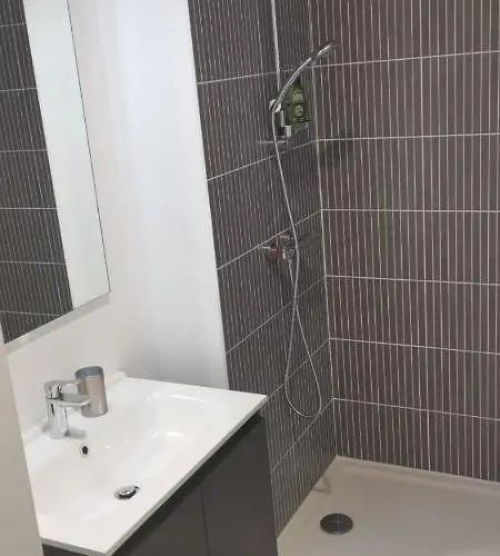 Beguinage Saint Vincent 住宿加早餐酒店 *